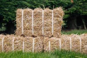 https://glafex.com/wp-content/uploads/2021/08/Baled-Straw-300x200.jpg